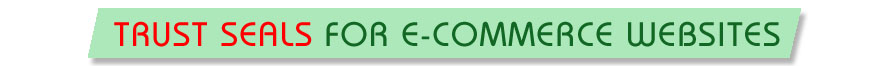 Security for E-commerce Websites